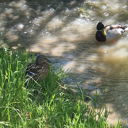Hipnotic Villa Saraybosna